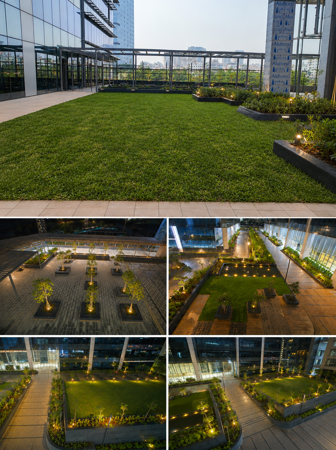 Newly developed garden with paths and lawn